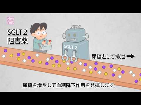 3-14. SGLT2阻害薬【糖尿病3分間ラーニング】