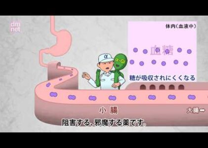 3-10. α-グルコシダーゼ阻害薬【糖尿病3分間ラーニング】