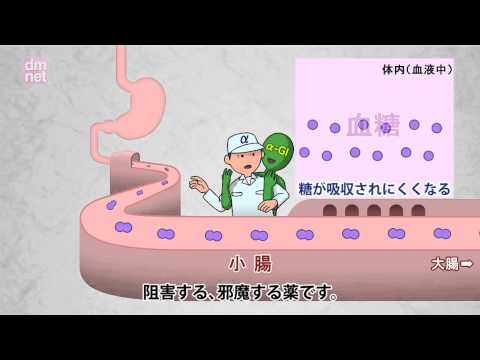 3-10. α-グルコシダーゼ阻害薬【糖尿病3分間ラーニング】