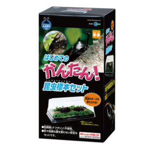 はじめてのかんたん昆虫標本セット
