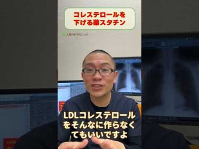 LDLコレステロールを下げる薬スタチンを解説_相模原内科