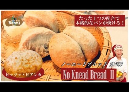 こねずにつくる自家製パン「ノー・ニード・ブレッド」第２弾！今回、ご紹介するのはシンプルな食事パン「双子パン（ブレッチェン）」と、もちもち食感「ピッツァ・ビアンカ」。１つの配合できる本格自家製パン！