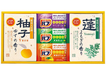 花王 四季折々 薬用入浴剤セット 2930-021