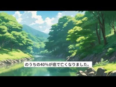 コレステロールの嘘と健康への影響【薬を無くす薬剤師が話す】