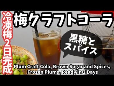 239.梅クラフトコーラ・黒糖とスパイス・冷凍梅で2日で完成！