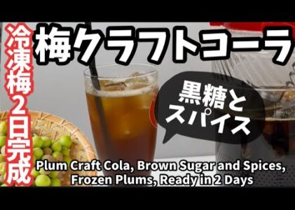 239.梅クラフトコーラ・黒糖とスパイス・冷凍梅で2日で完成！
