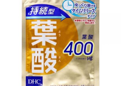 DHC 持続型葉酸 60日分 60粒入