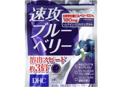 DHC 速攻ブルーベリー 20日分 40粒入